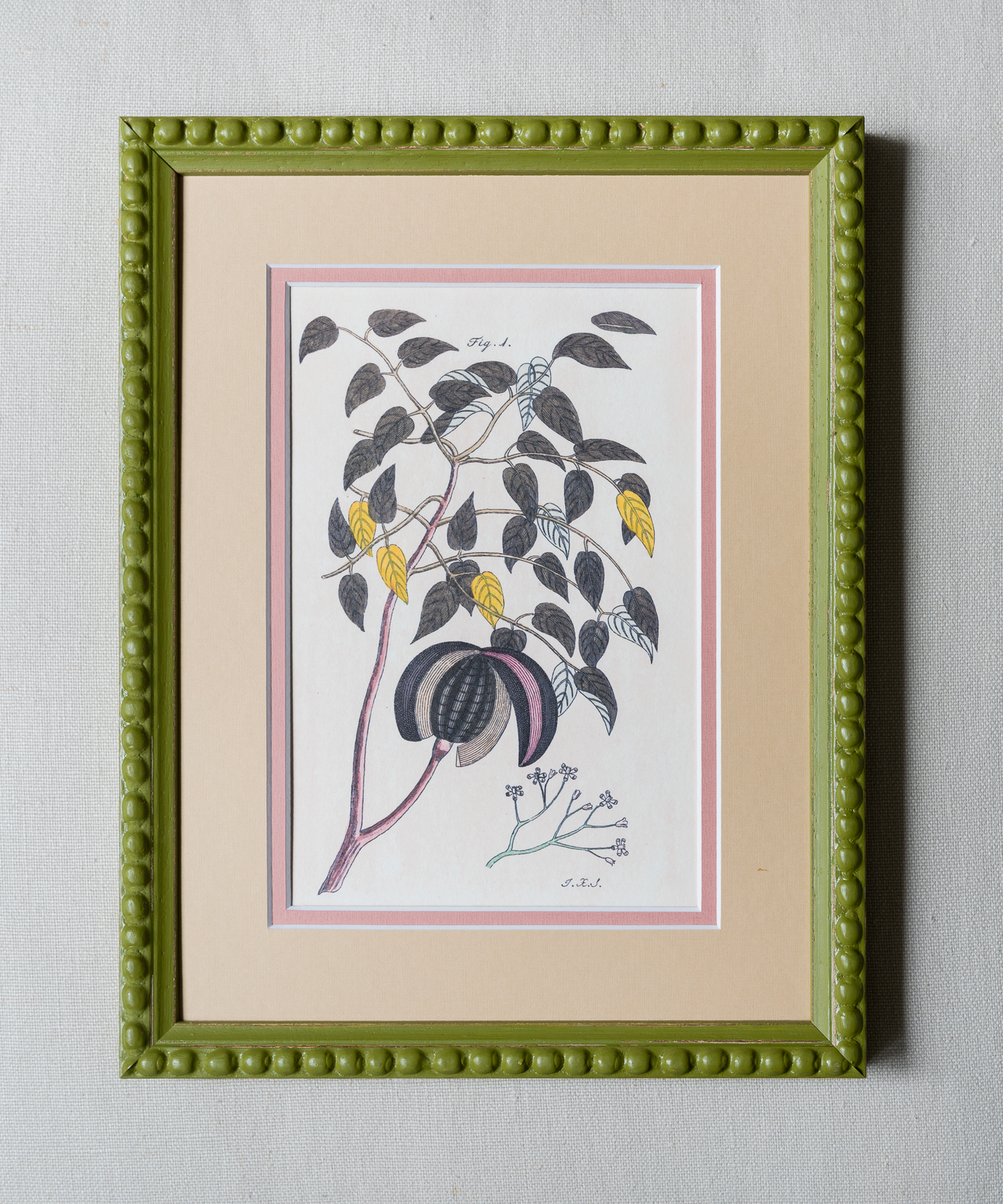 The Green Botanicals