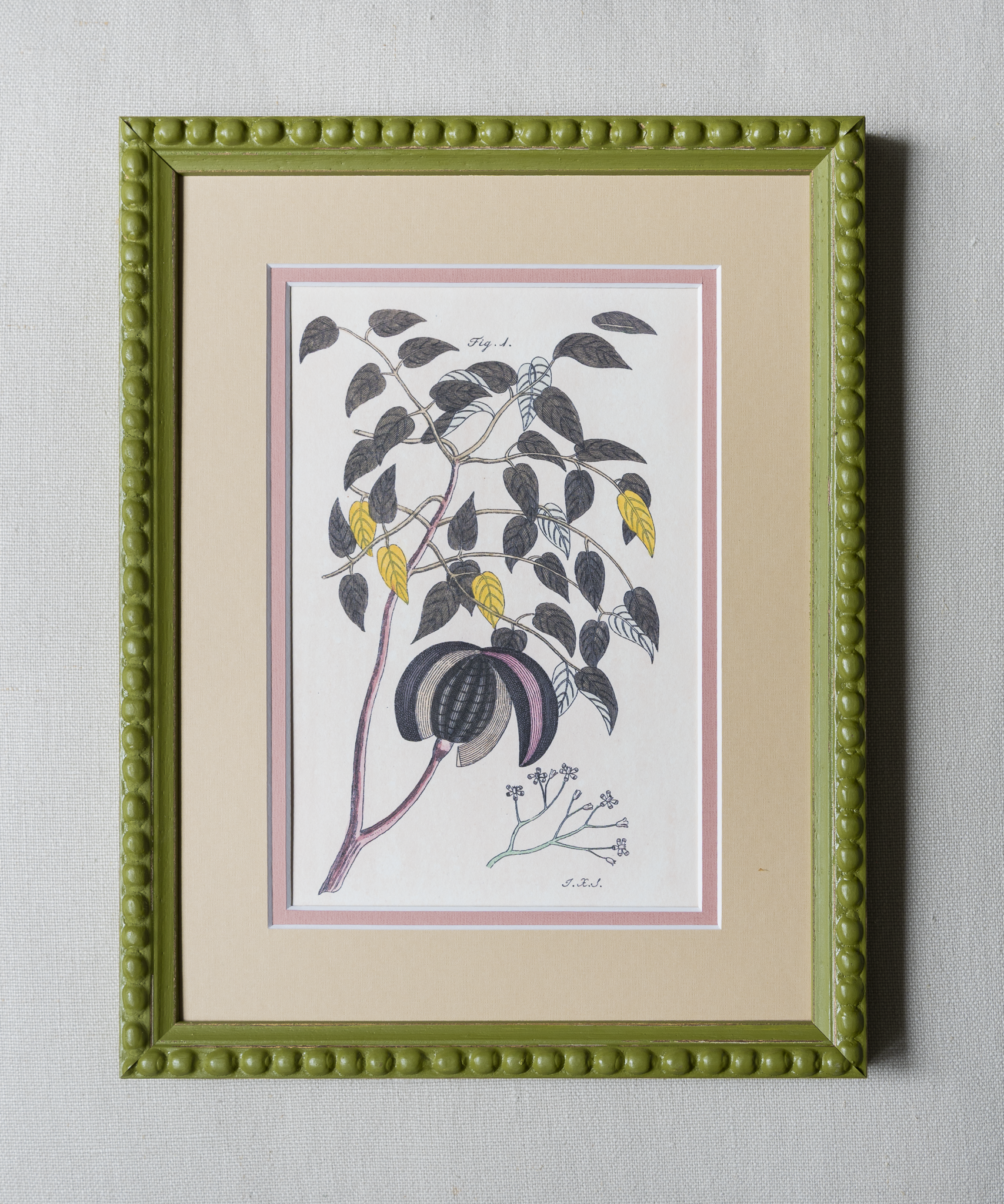 The Green Botanicals