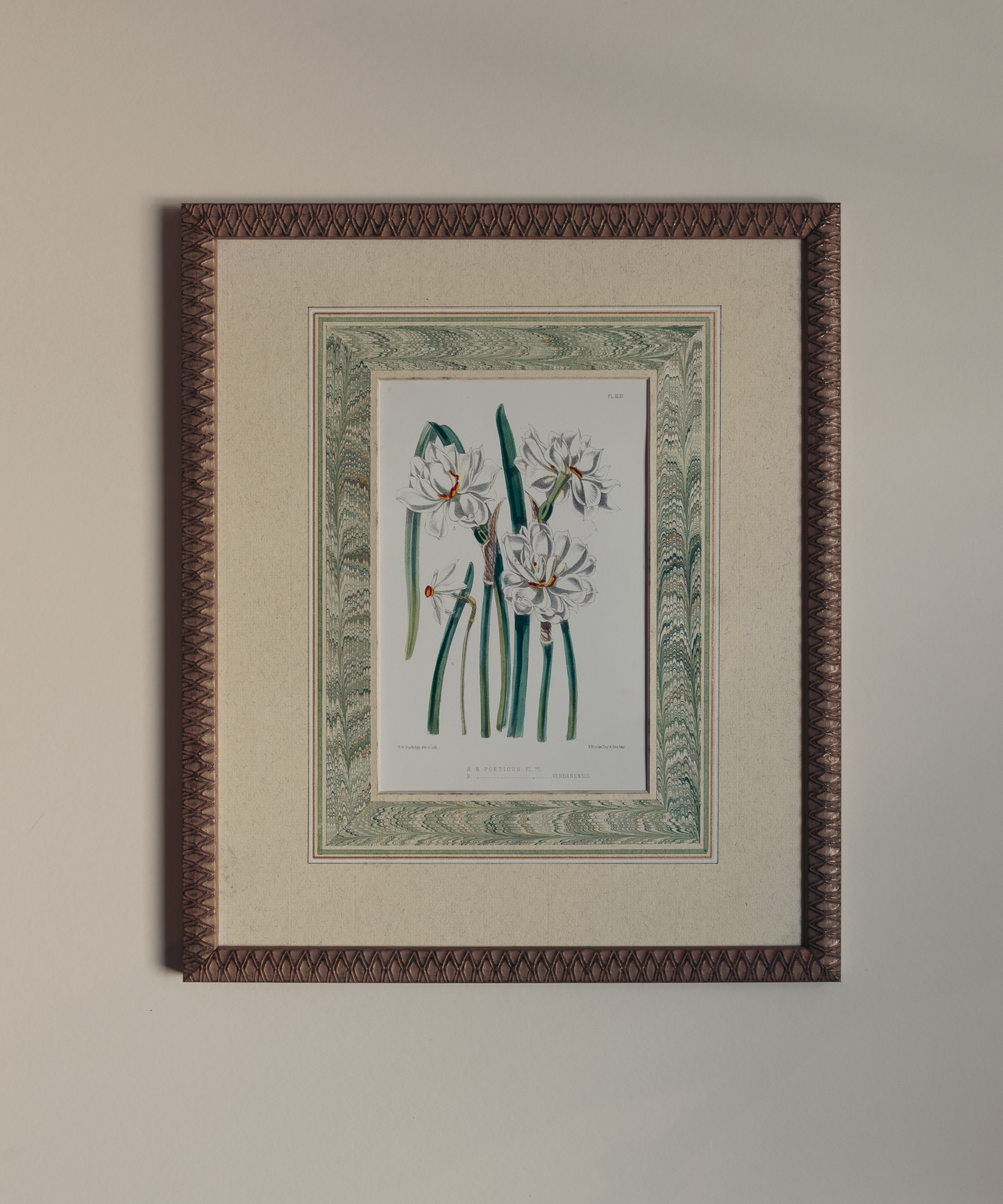 The Marla Primrose Daffodils