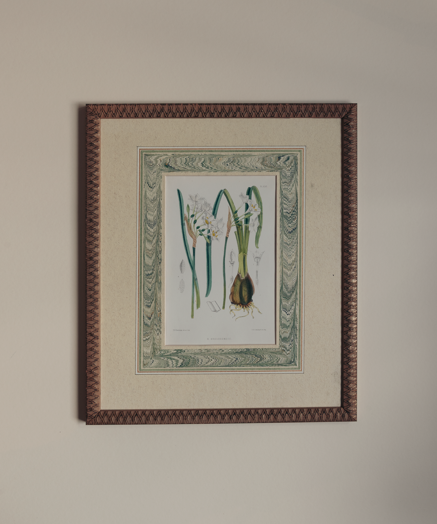 The Marla Primrose Daffodils