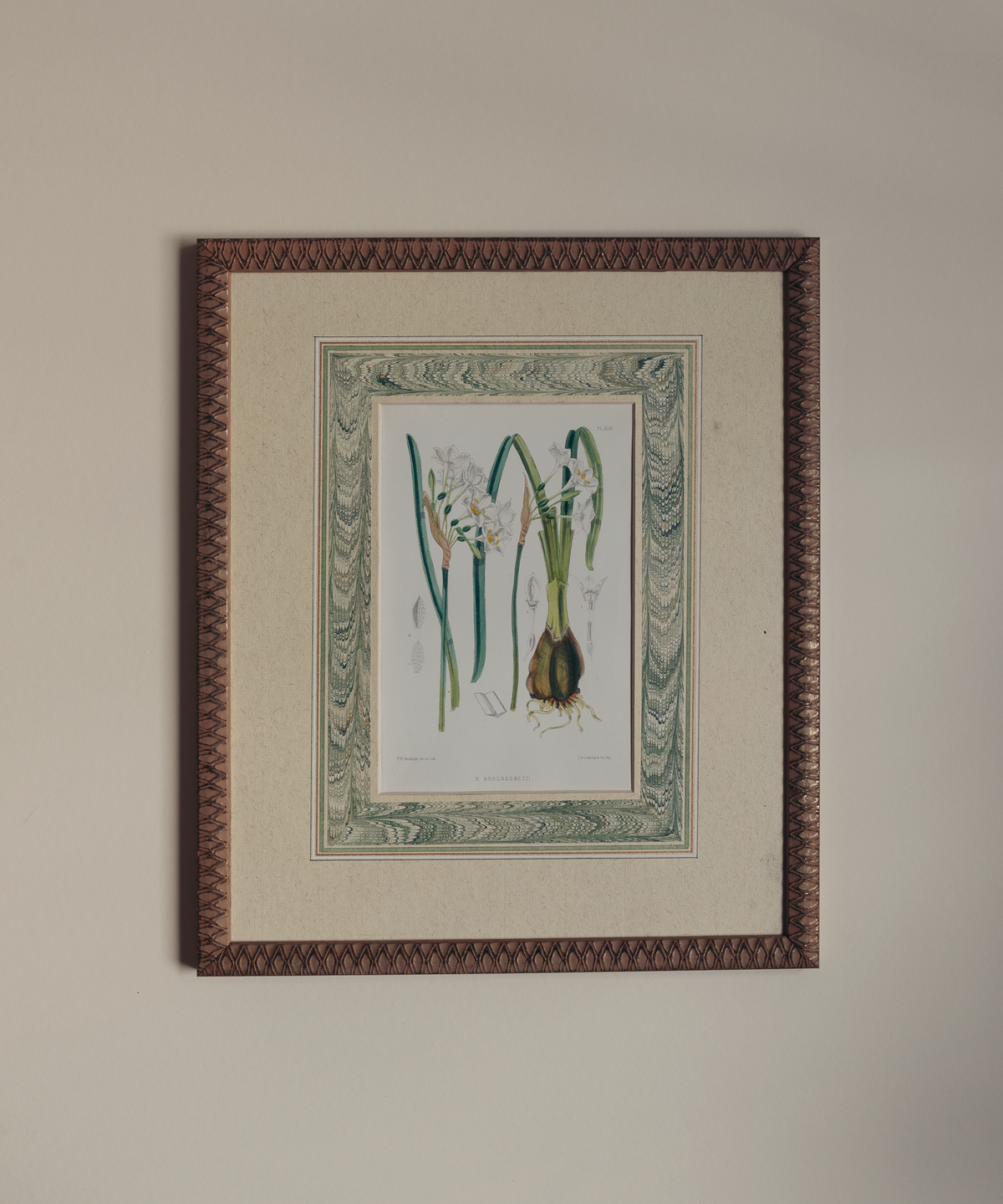 The Marla Primrose Daffodils