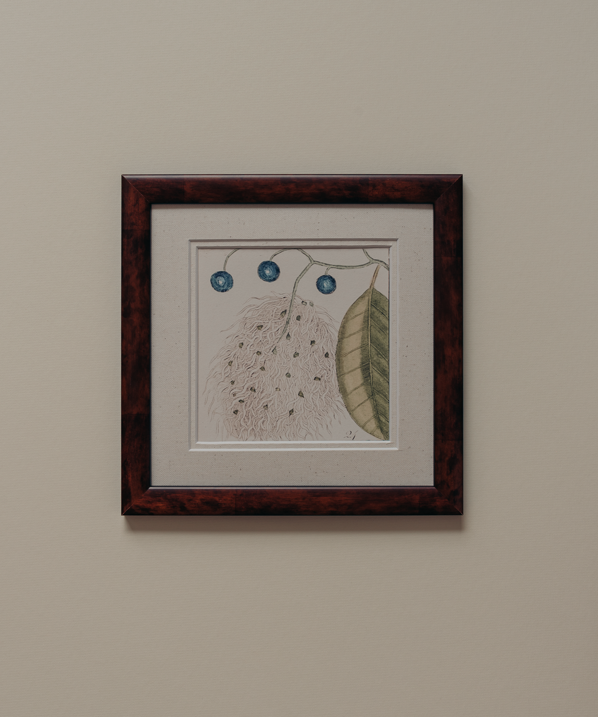 The Antique Botanicals
