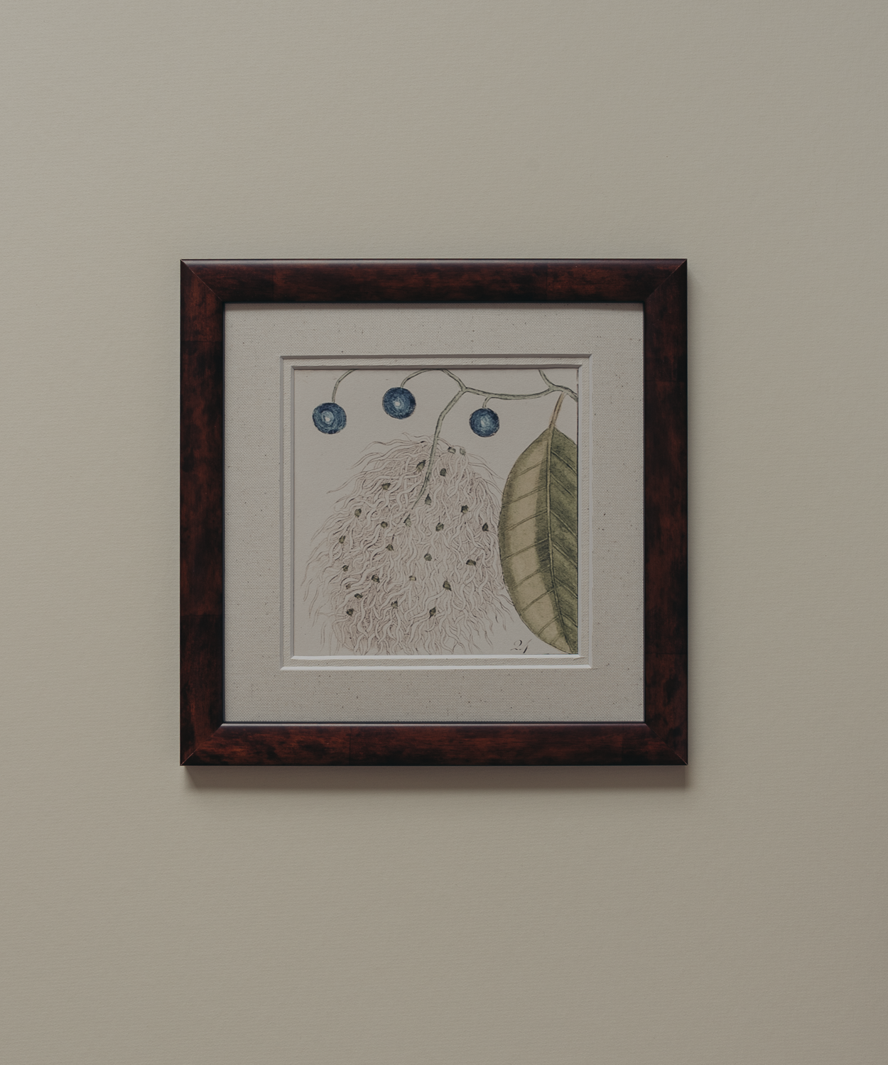 The Antique Botanicals