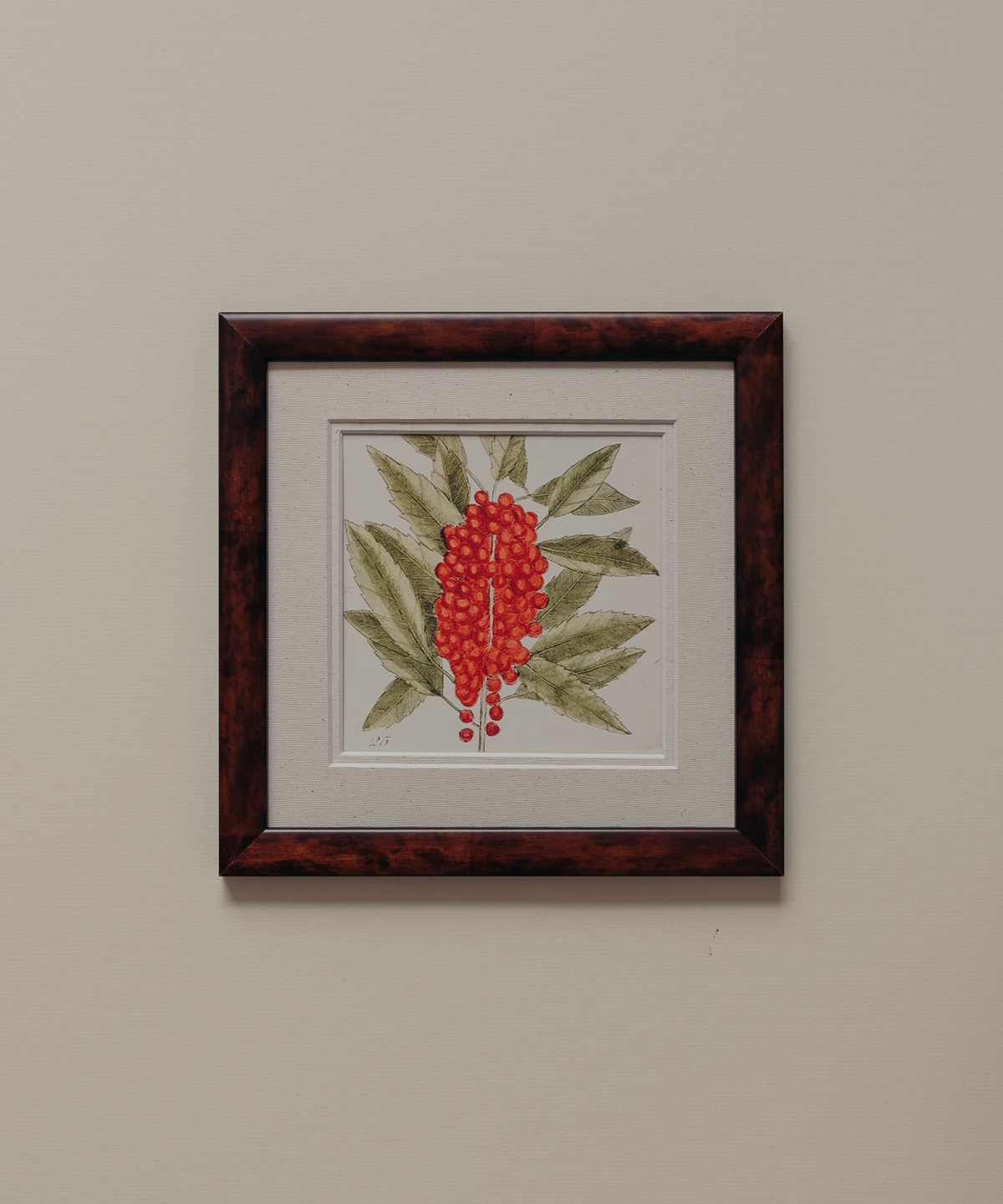 The Antique Botanicals