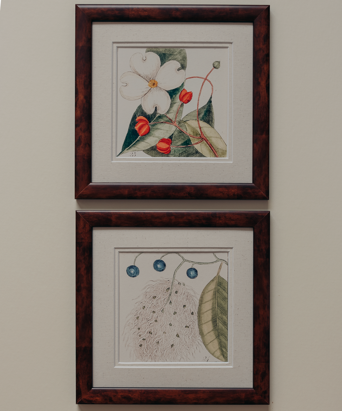 The Antique Botanicals