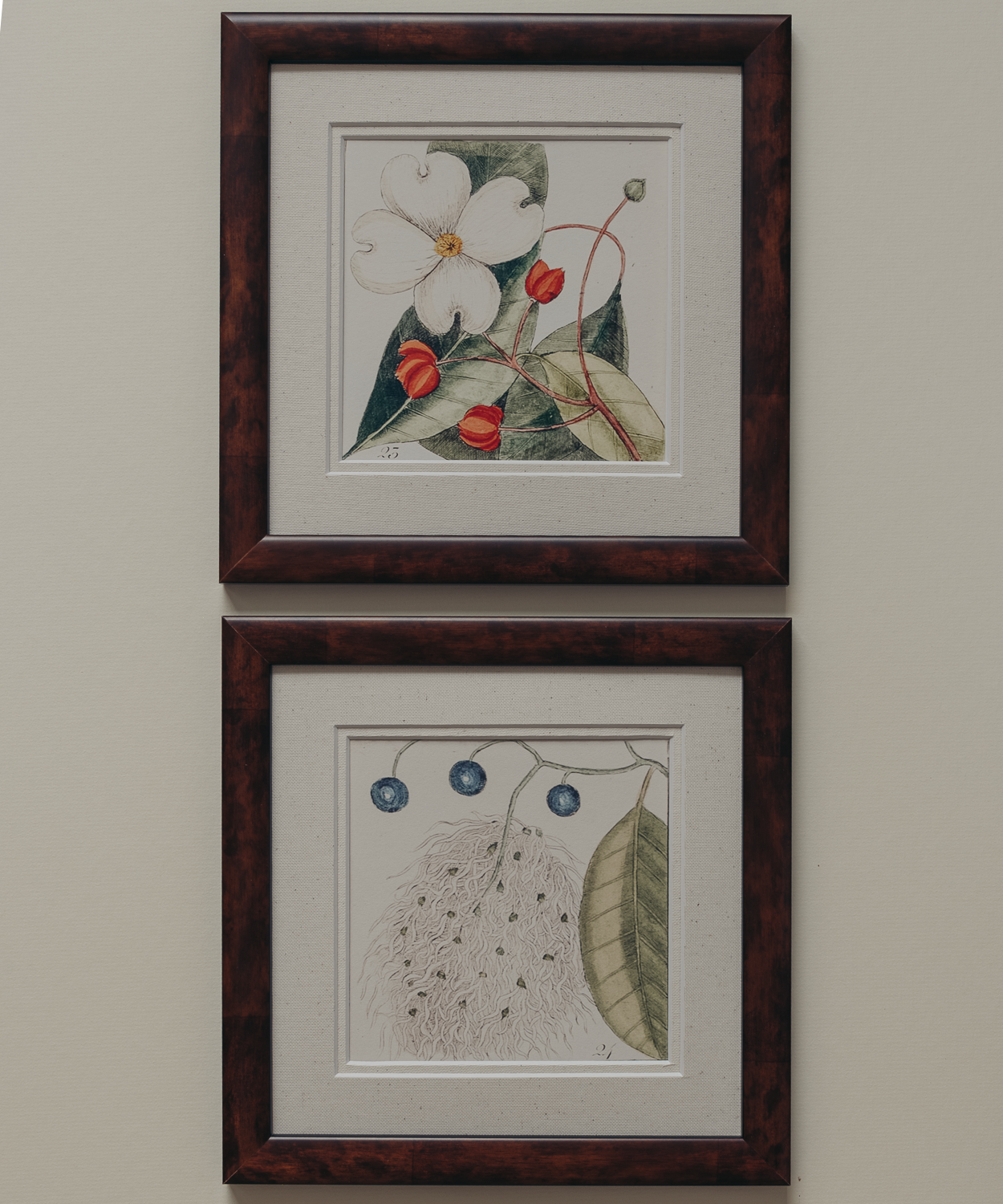 The Antique Botanicals