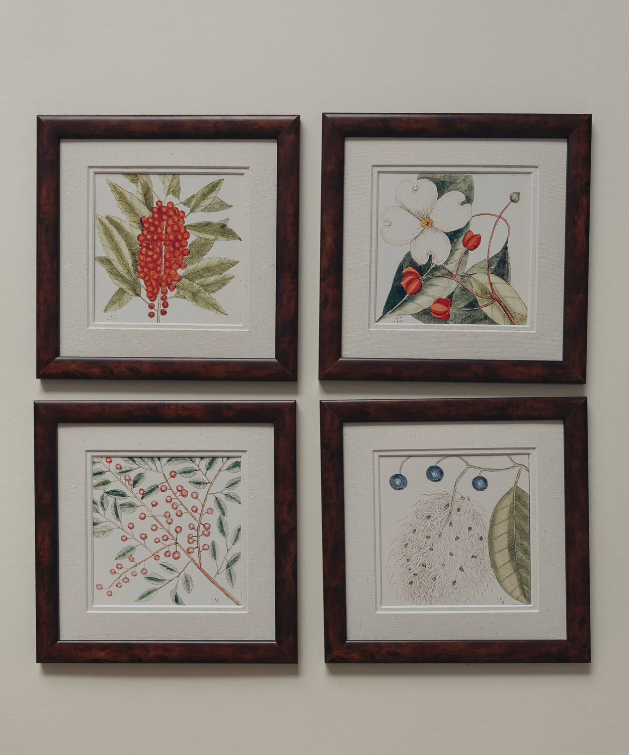The Antique Botanicals