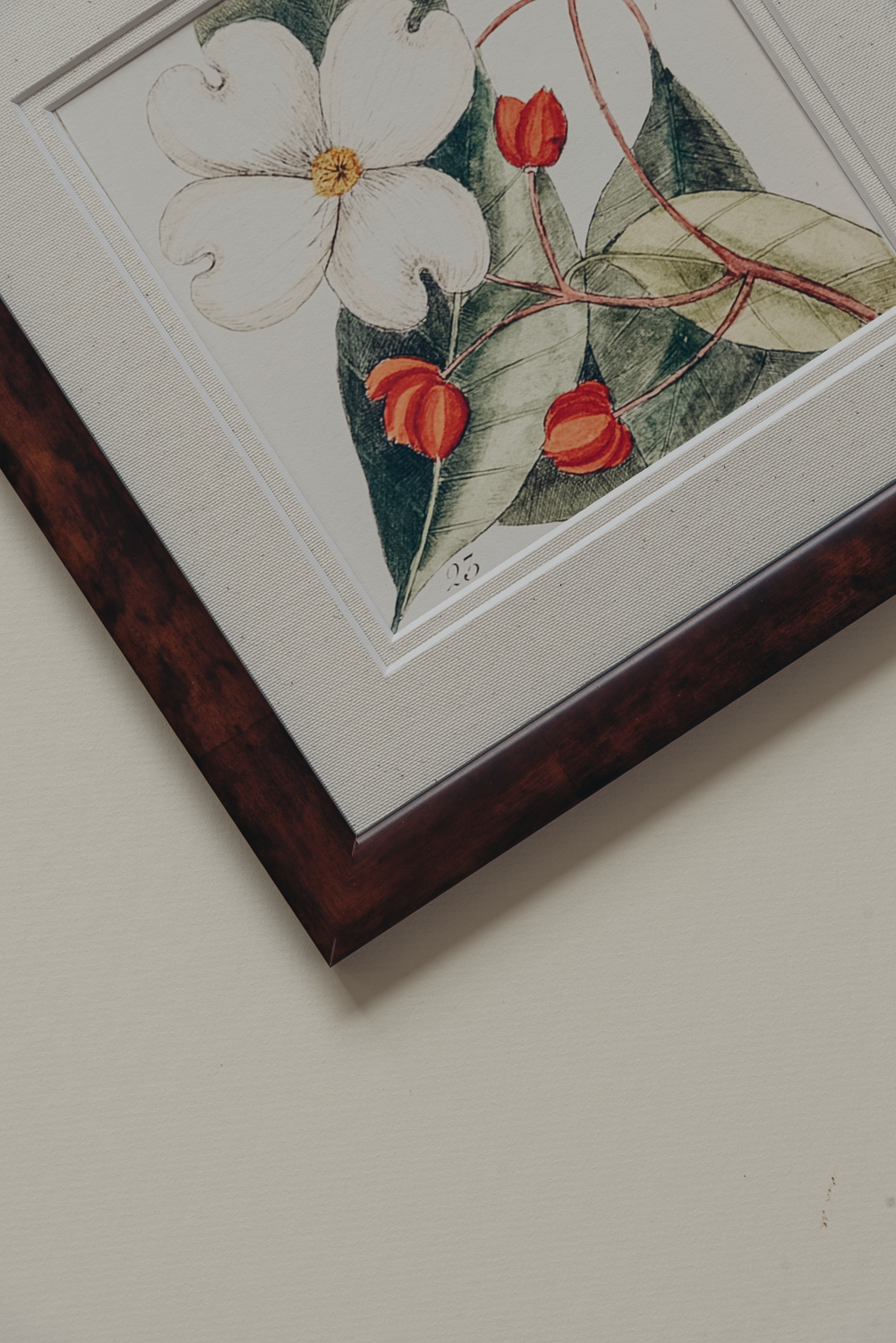 The Antique Botanicals