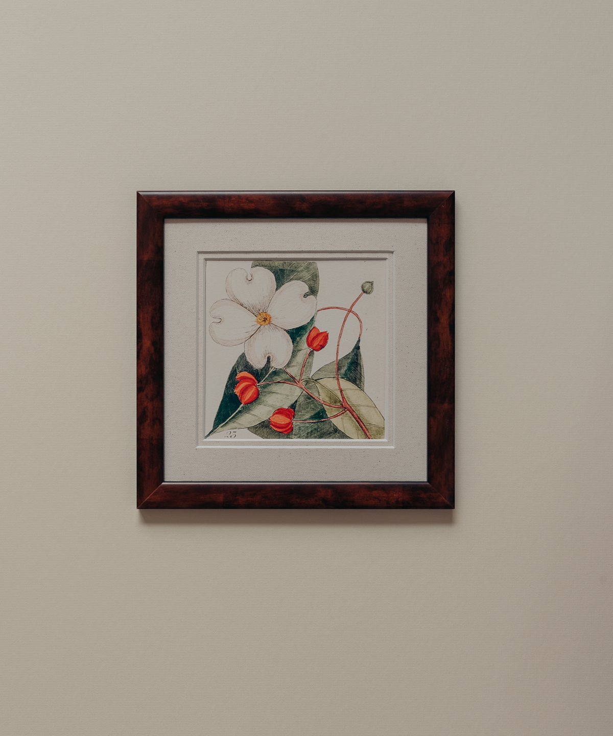 The Antique Botanicals
