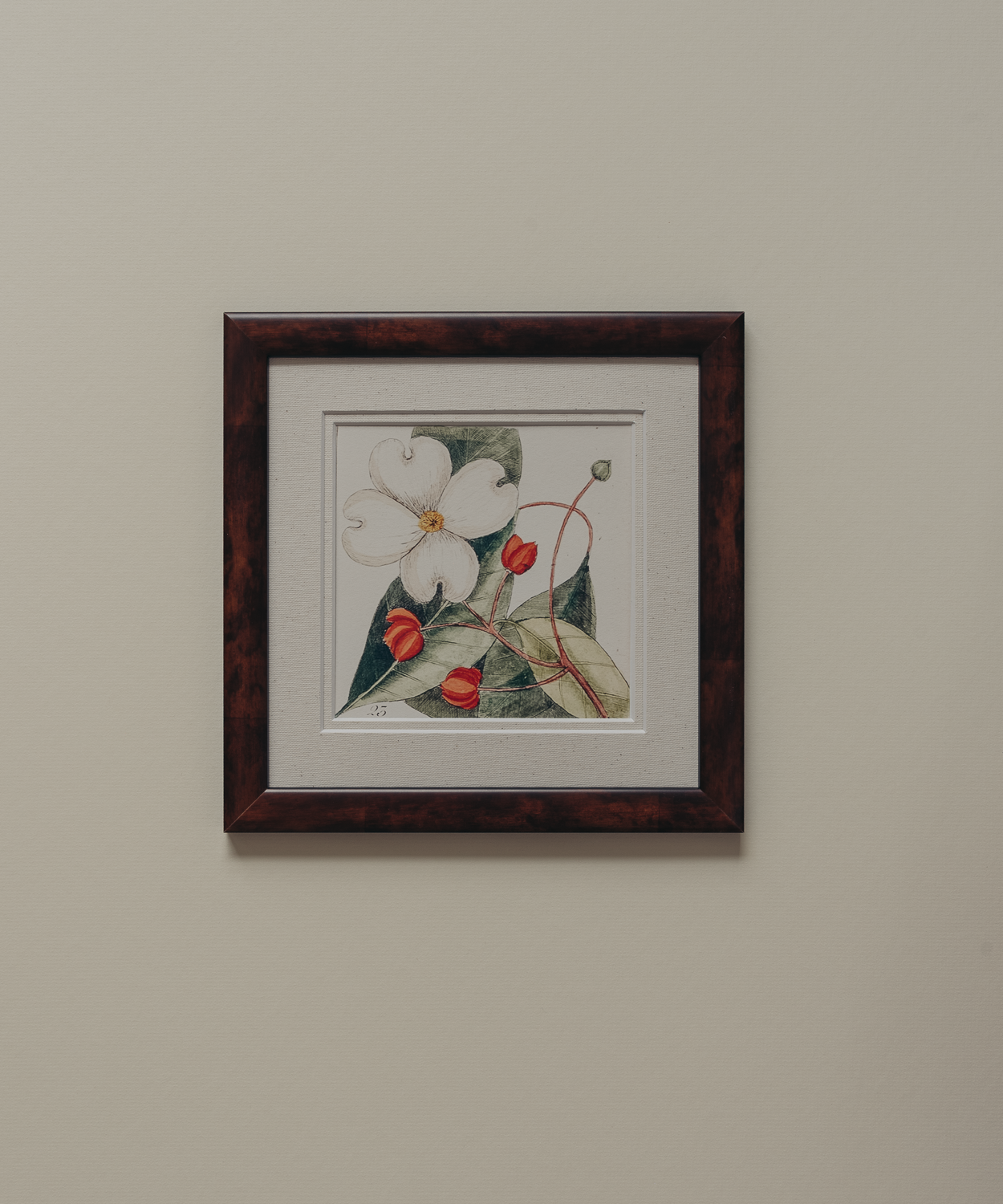 The Antique Botanicals