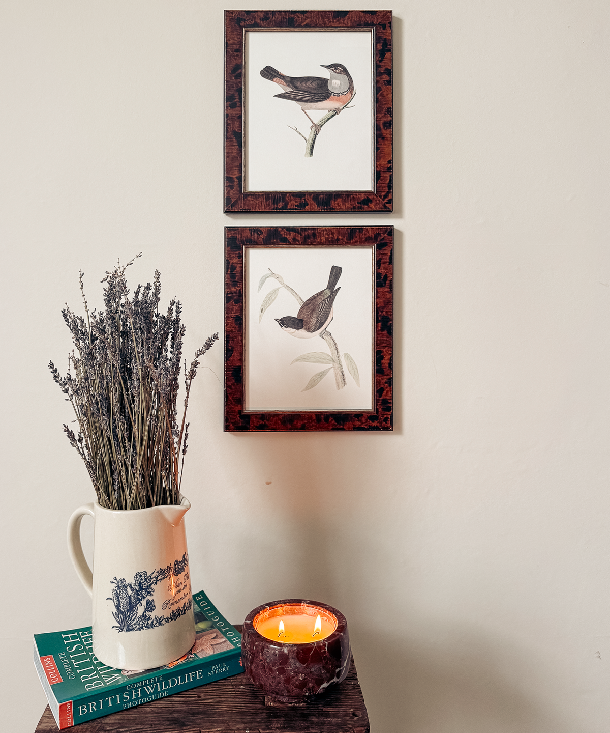 The British Birds