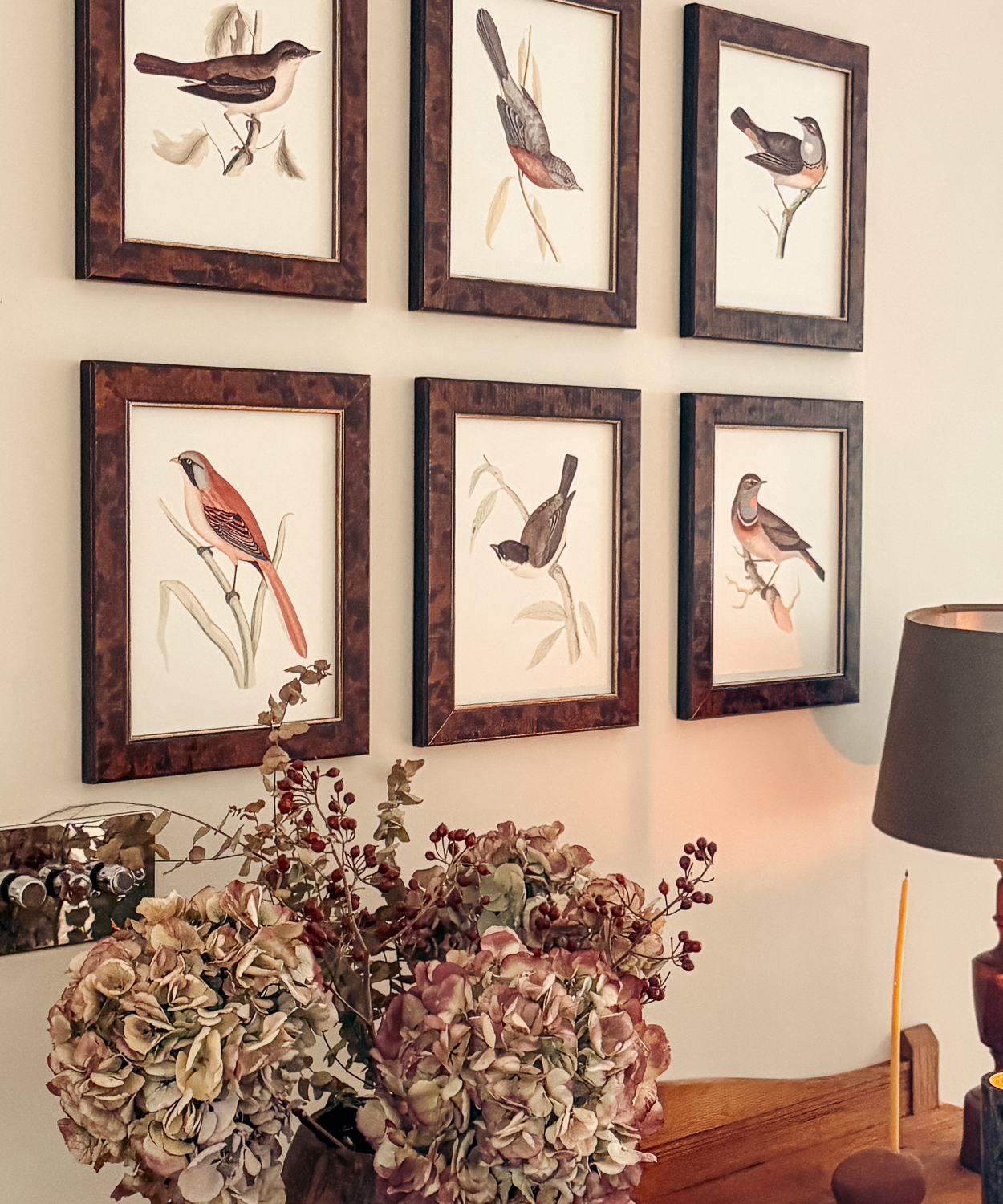 The British Birds