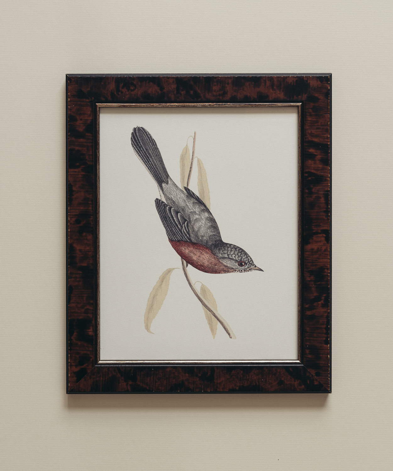 The British Birds