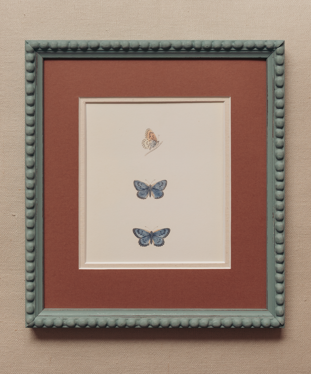 The Butterfly Garden