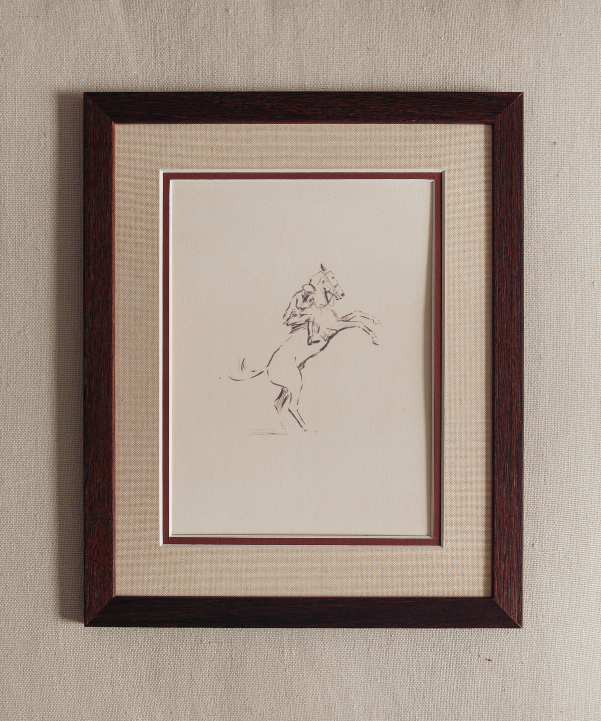 The Equestrian Studies