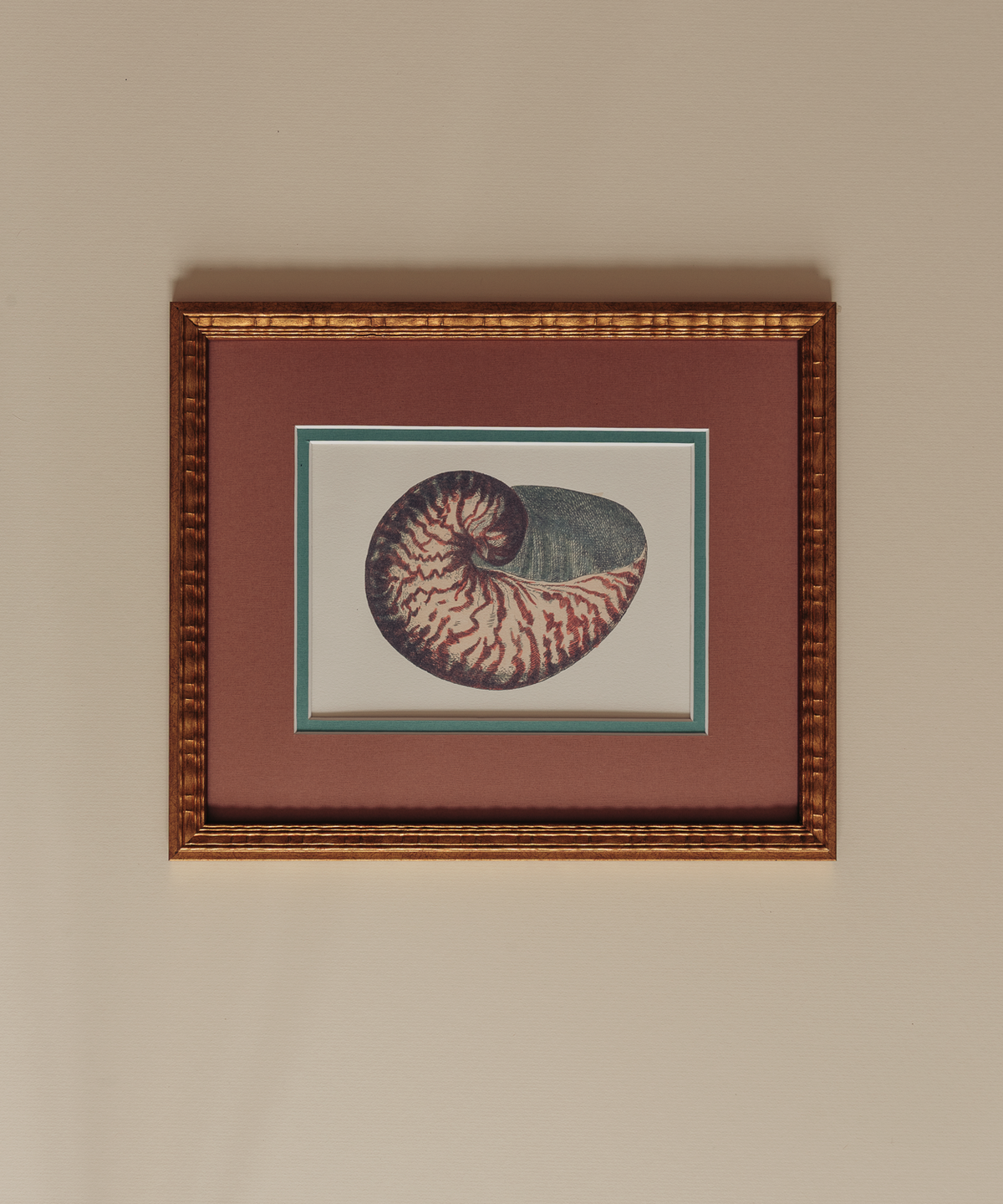 The Nautilus Studies