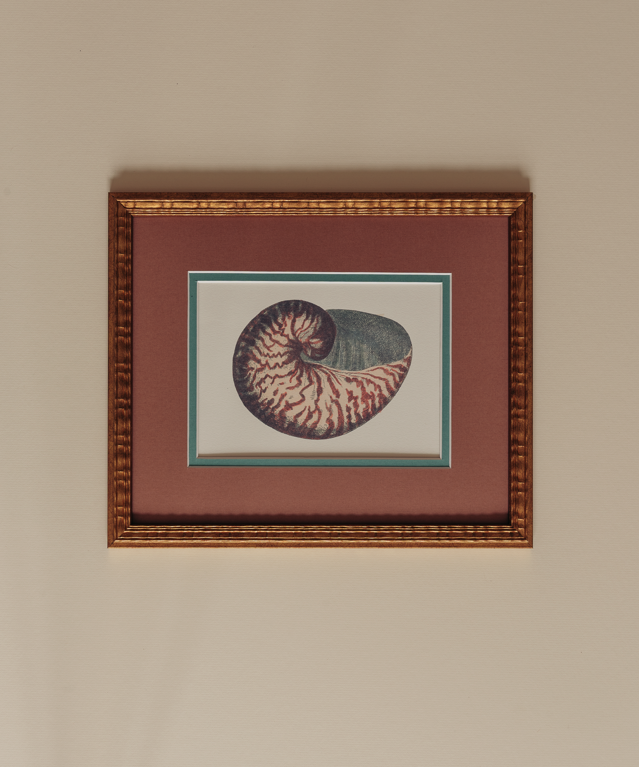 The Nautilus Studies