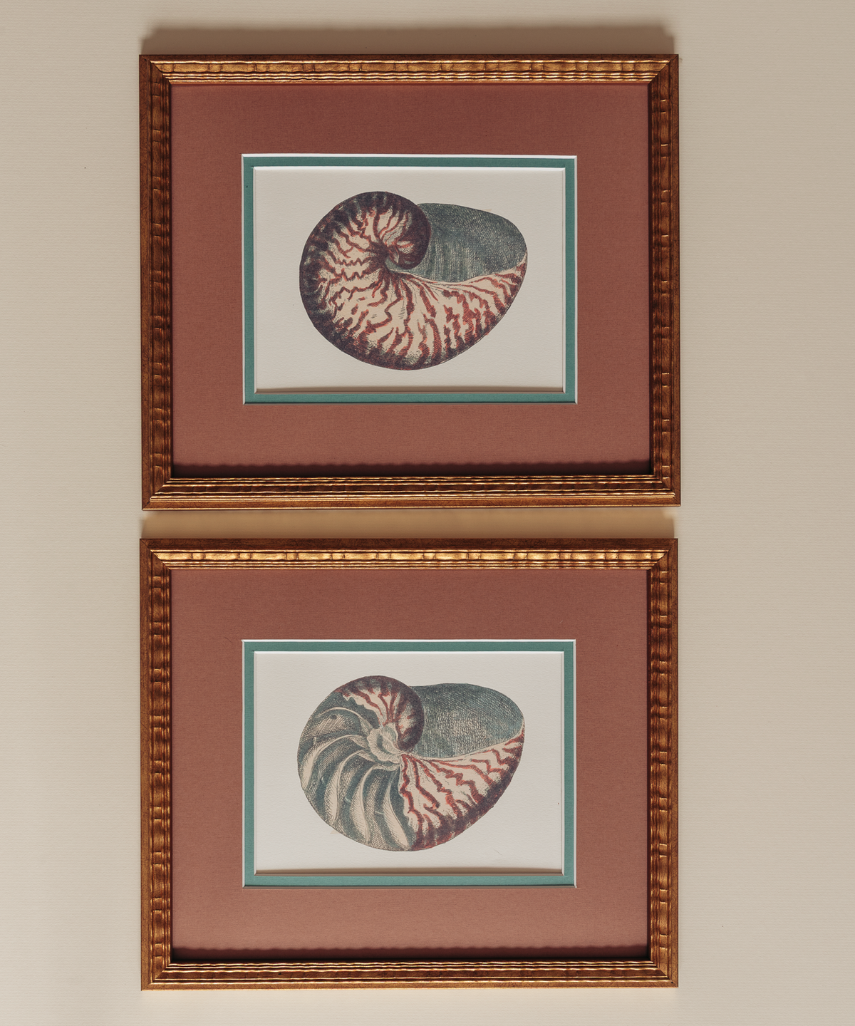 The Nautilus Studies