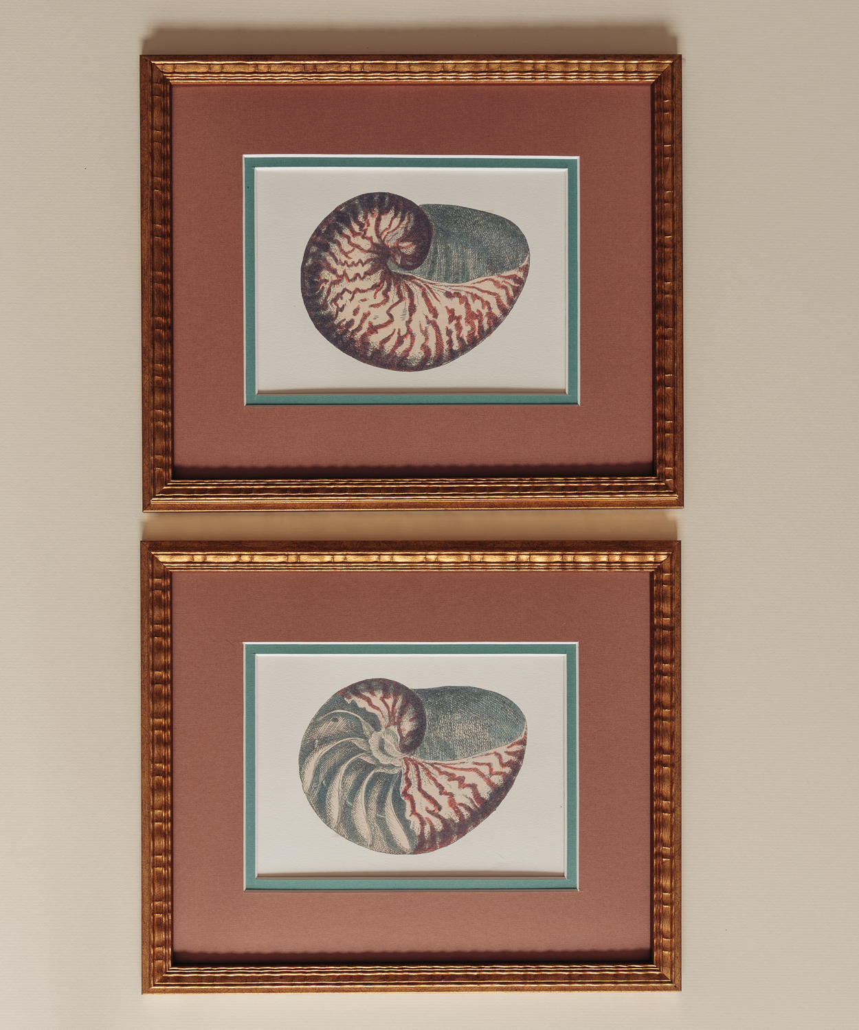 The Nautilus Studies