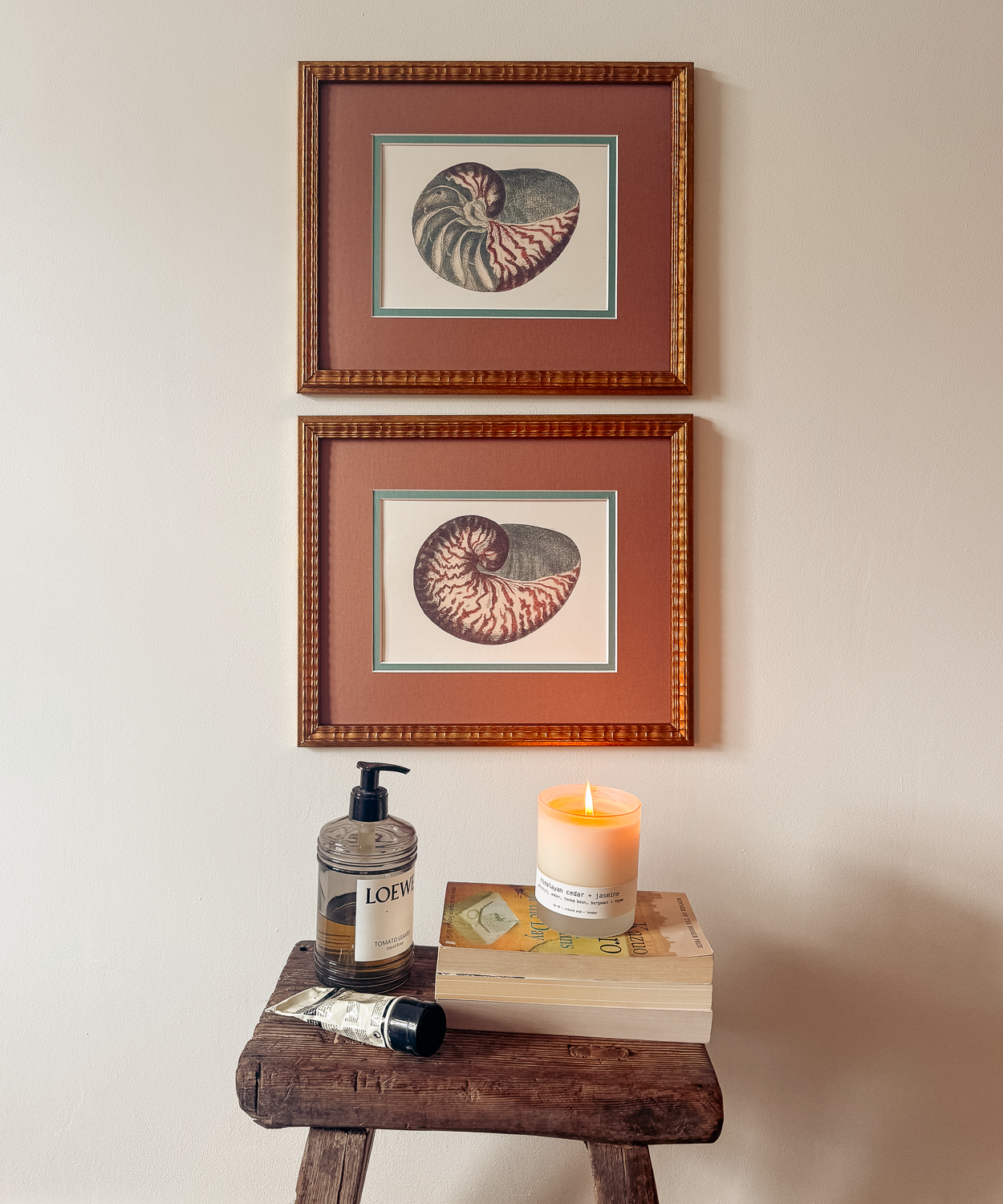The Nautilus Studies