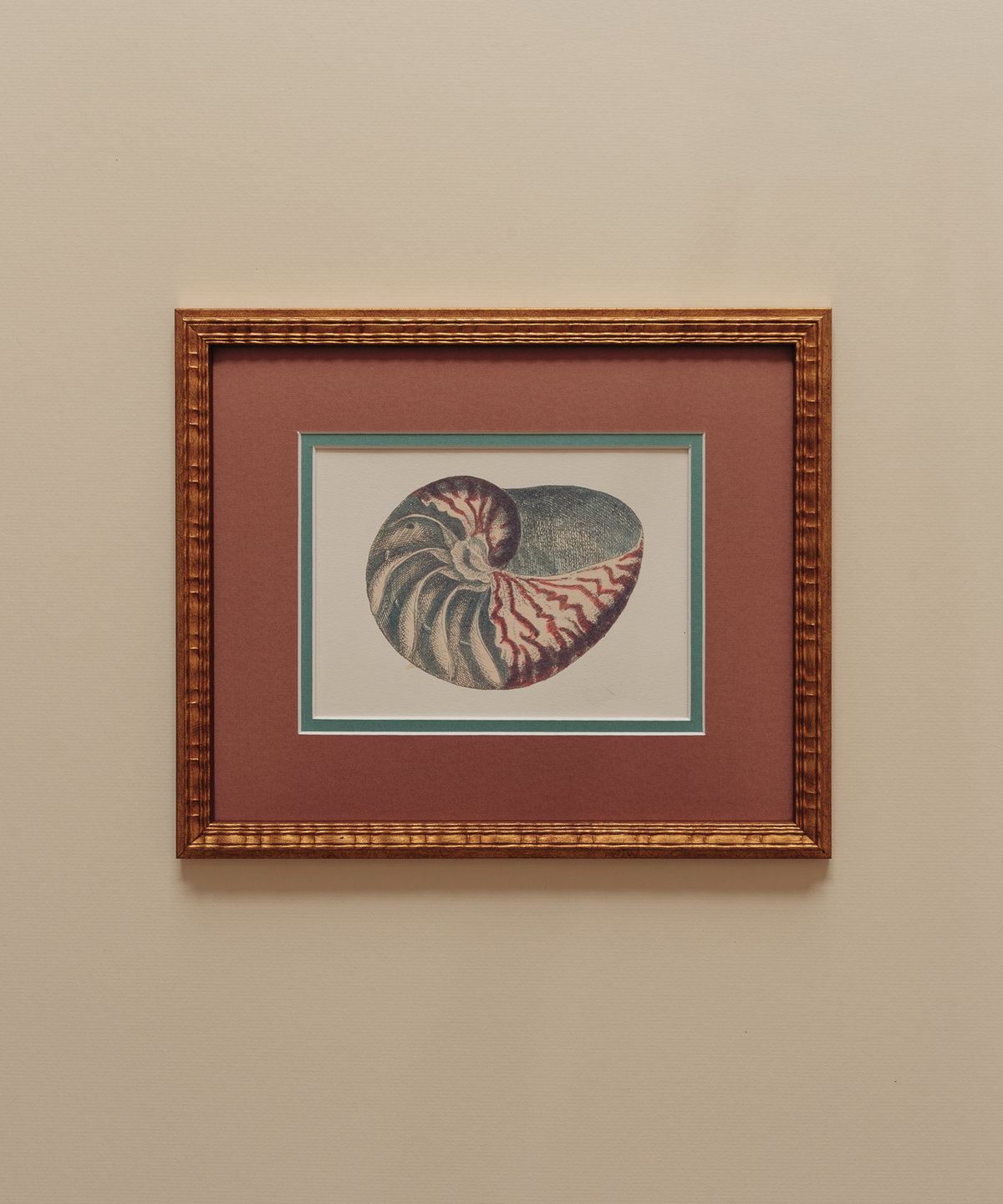 The Nautilus Studies