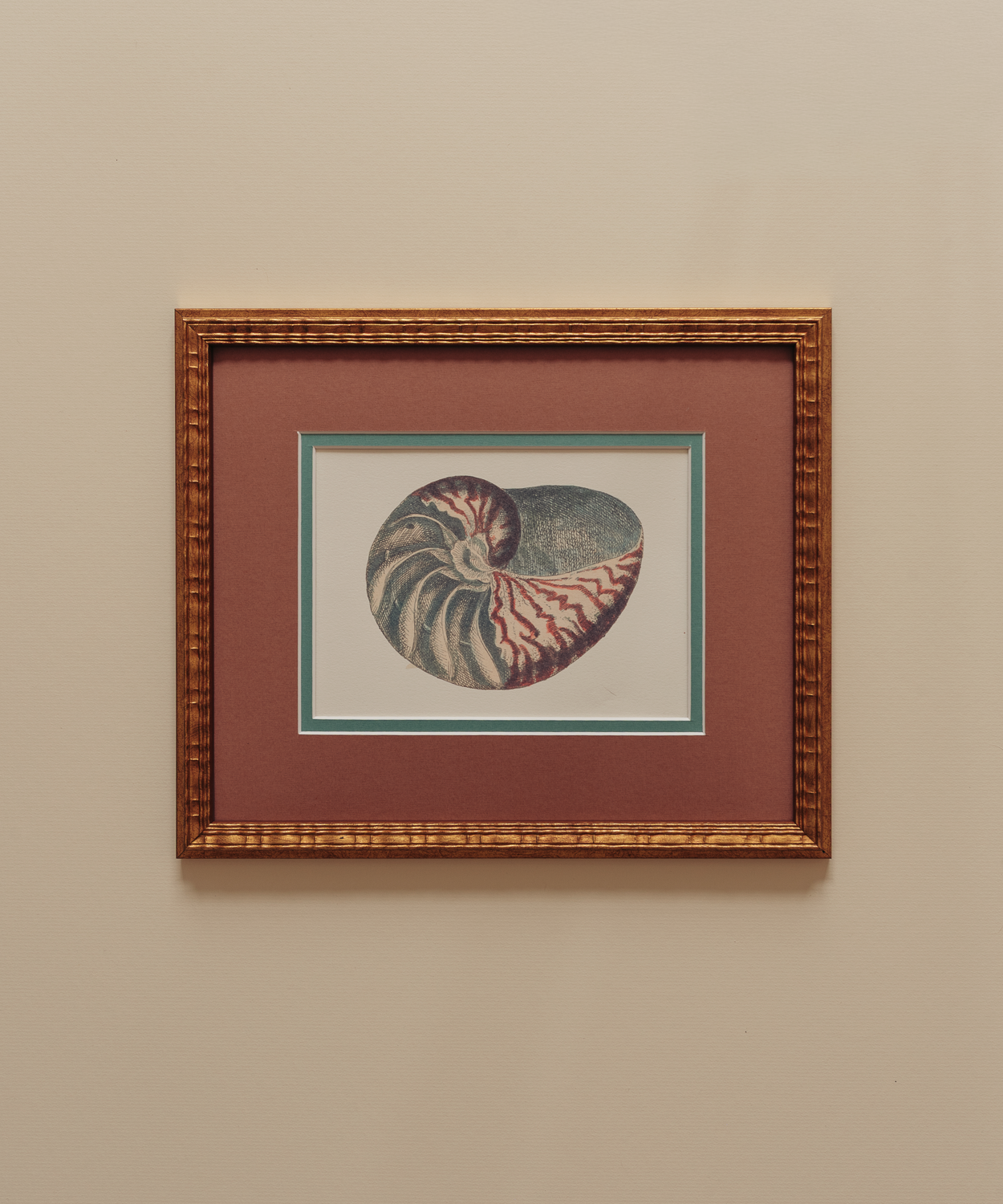 The Nautilus Studies